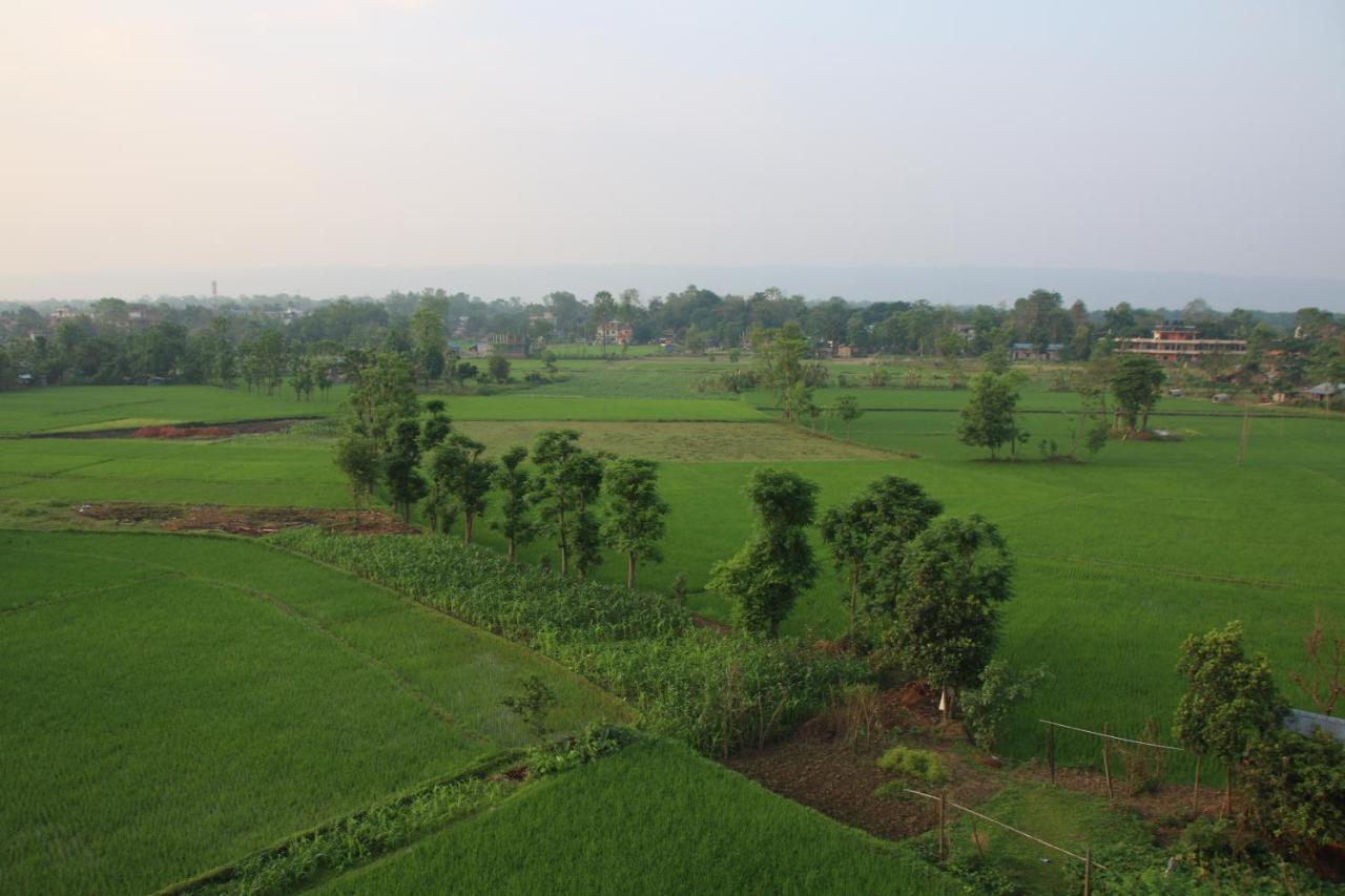 Sweet Home Chitwan Bagian luar foto